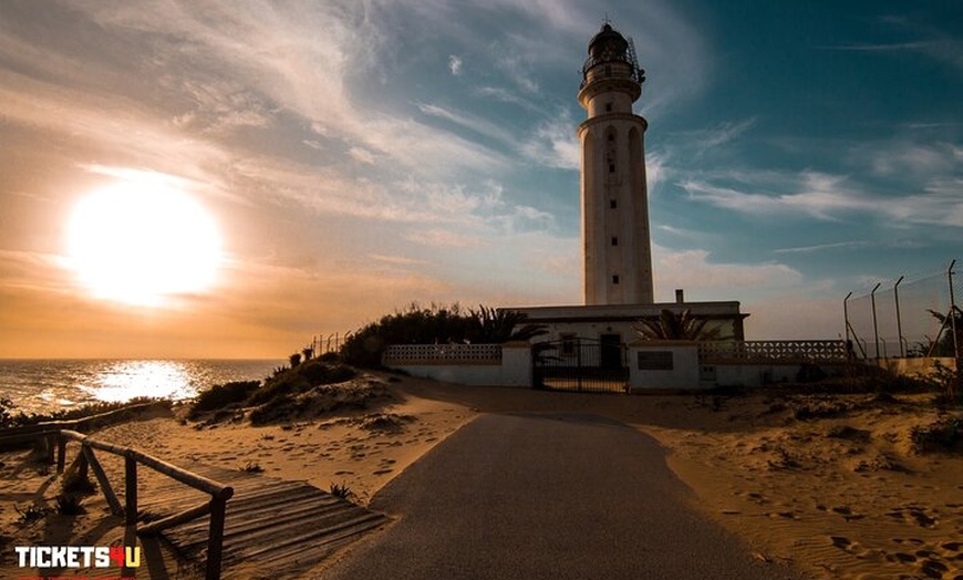 Image 12: Excursión de un Día a Jerez y Cadiz desde Sevilla