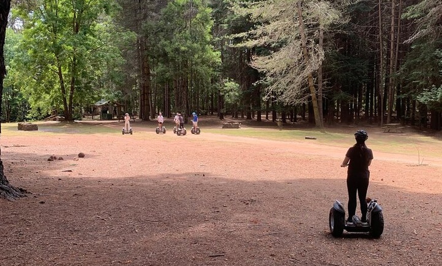 Image 5: Launceston: Hollybank Treetops Adventures - Segway Tour