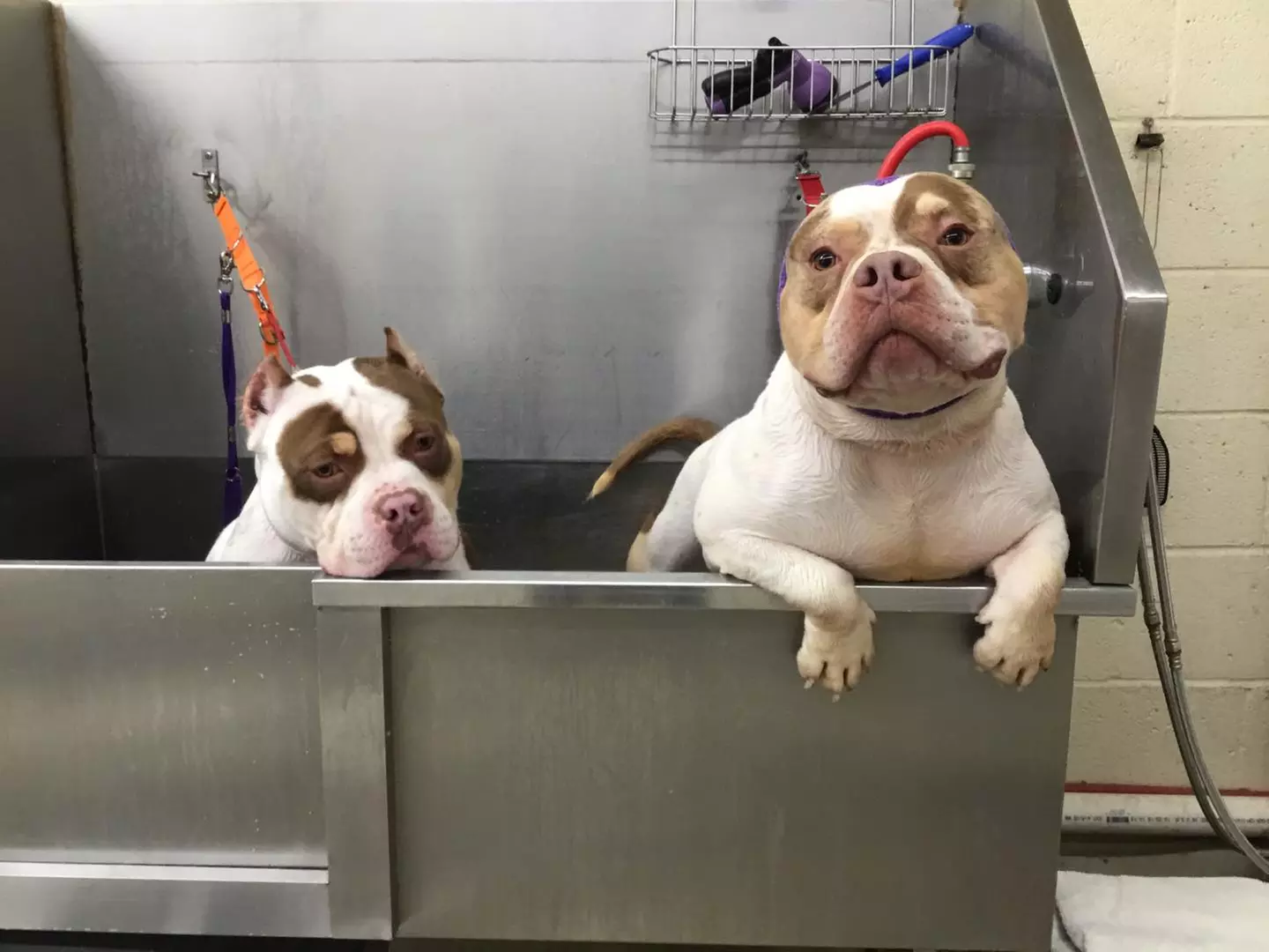 $15 For $30 Towards Any Service