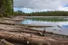Clear Lake Loop Naturalist Day Hike