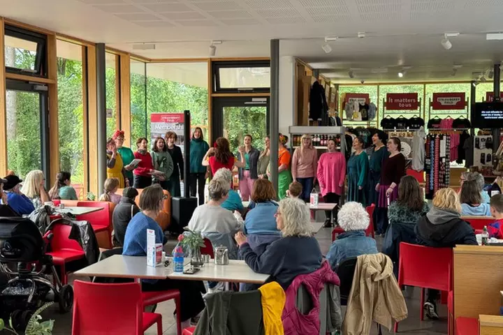 Private Liverpool Beatles Tour - Casbah Club (Blue Badge Guide)