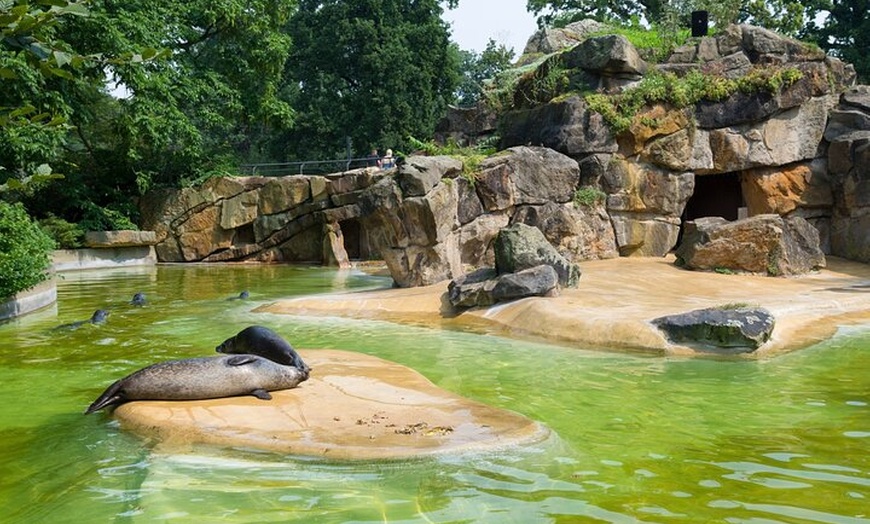 Image 10: Privater Transport zum Berliner Zoo