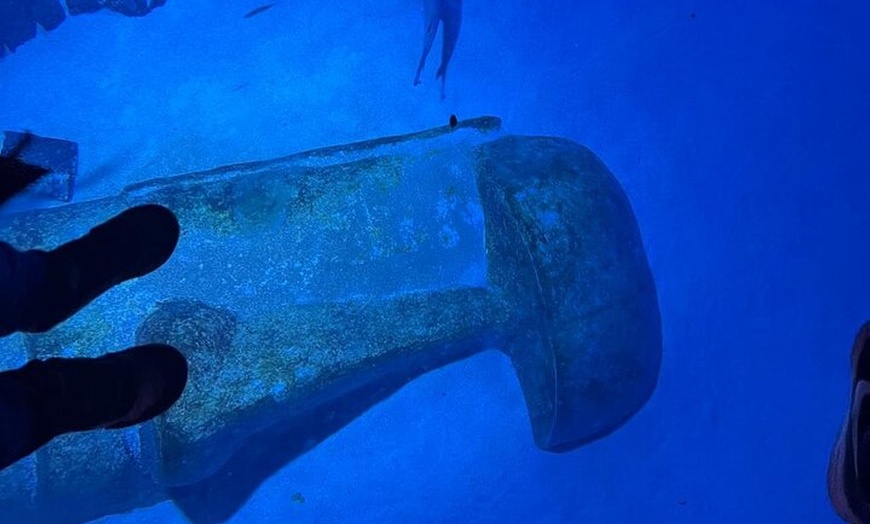 Image 13: Luxury Private Tour in London