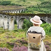 Image 1: Edinburgh: Glenfinnan Viaduct, Glencoe & Fort William Guided Tour