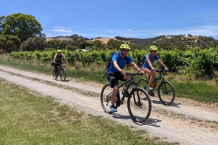 McLaren Vale Wine Tour by E-Bike (Private & Small Group)