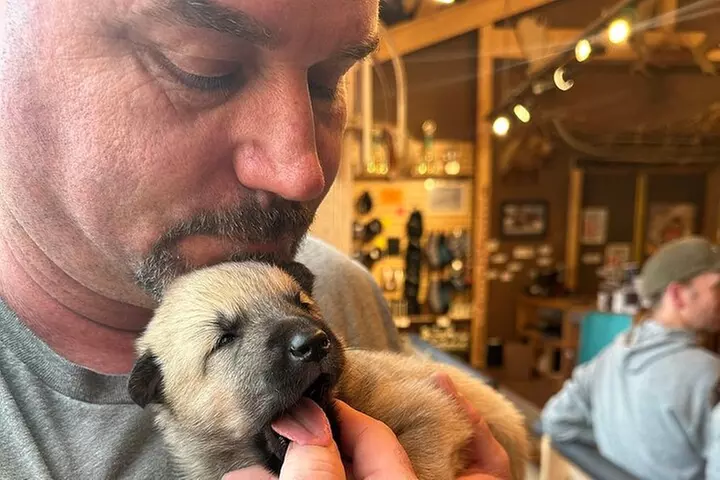 Husky Homestead Tour