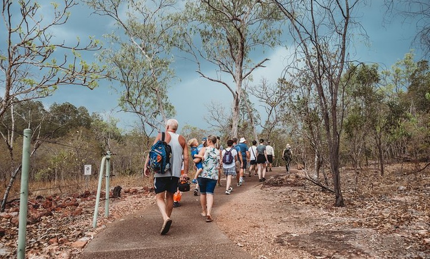 Image 2: Litchfield Day Tour from Darwin with Offroad Dreaming