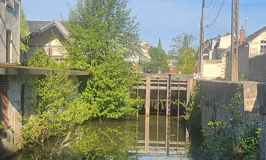 Image 7: Découvrez Amboise dans les pas de Léonard de Vinci