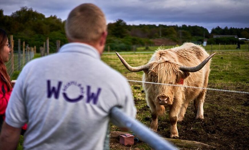 Image 9: Shore Tour from Invergordon Highland Highlights