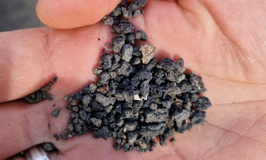 Image 9: Gran Canaria Premium Tour: Volcanes y Vino para cruceristas