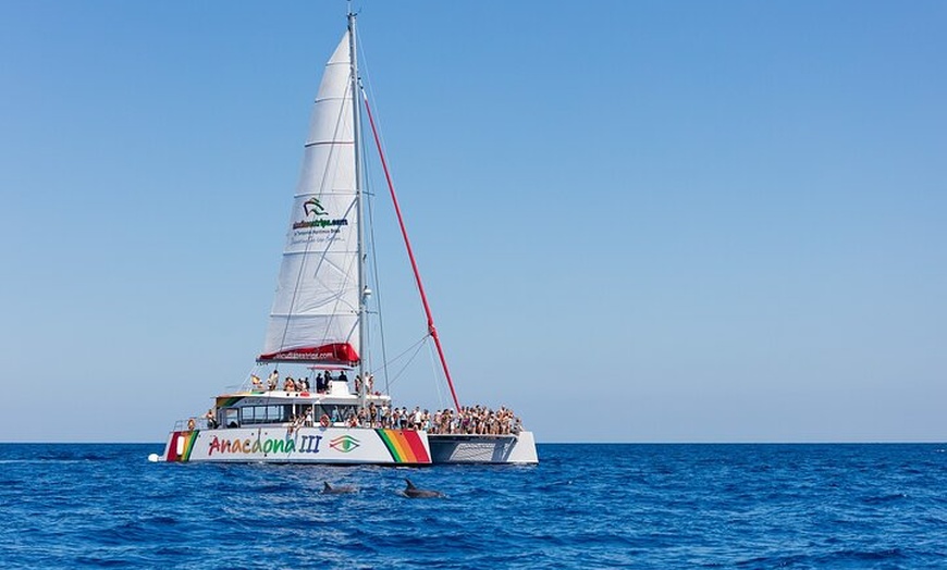 Image 6: Excursión en catamarán en Alcudia