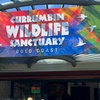 Image 10: Byron Bay and Currumbin Wildlife Sanctuary Day Tour