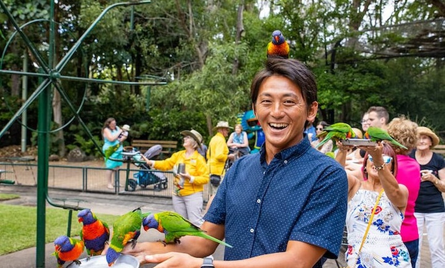 Image 13: Currumbin Wildlife Sanctuary & Burleigh Heads Private Tours