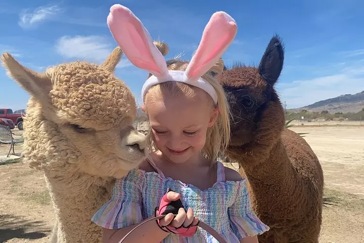 Tickets to Nature Health Farms Petting Zoo, Antique Store & Hemp Farm in Pahrump - Primary Image