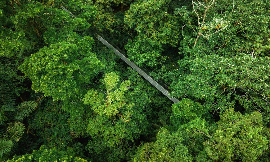 Image 16: ✈ COSTA RICA | San José - De la jungle aux côtes du Pacifique - Aut...
