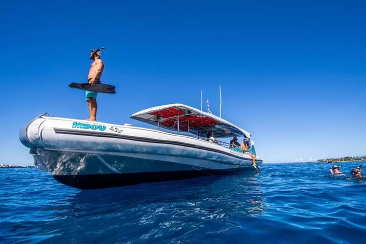 Manta Ray Snorkel Experience