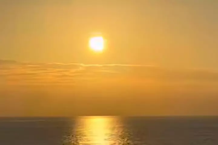 Experience Dinner City Cruise Tour in Boston - Primary Image