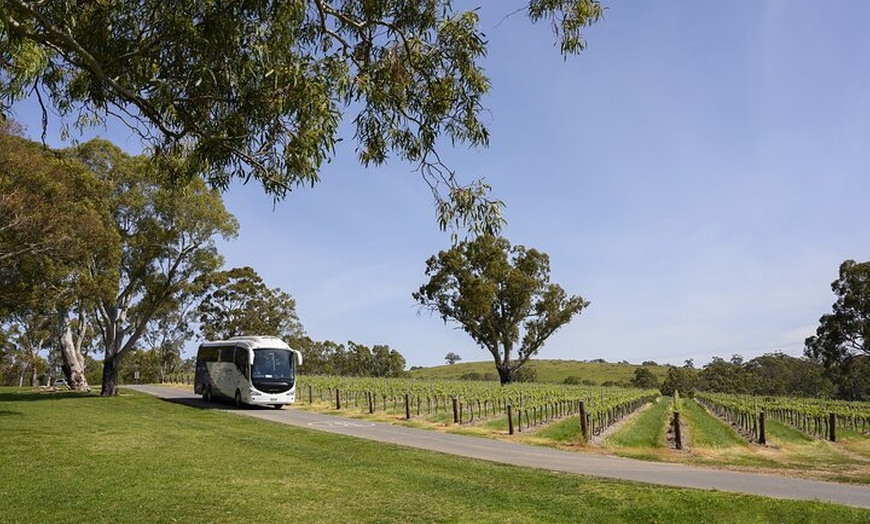 Image 7: Small Group All Inclusive Barossa Valley Food and Wine Tour