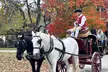 Exclusive Private Colonial Williamsburg Walking Tour by a Local - Second Medium