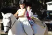 $125 For Two English Riding Lessons (Reg. $250) - Second Medium