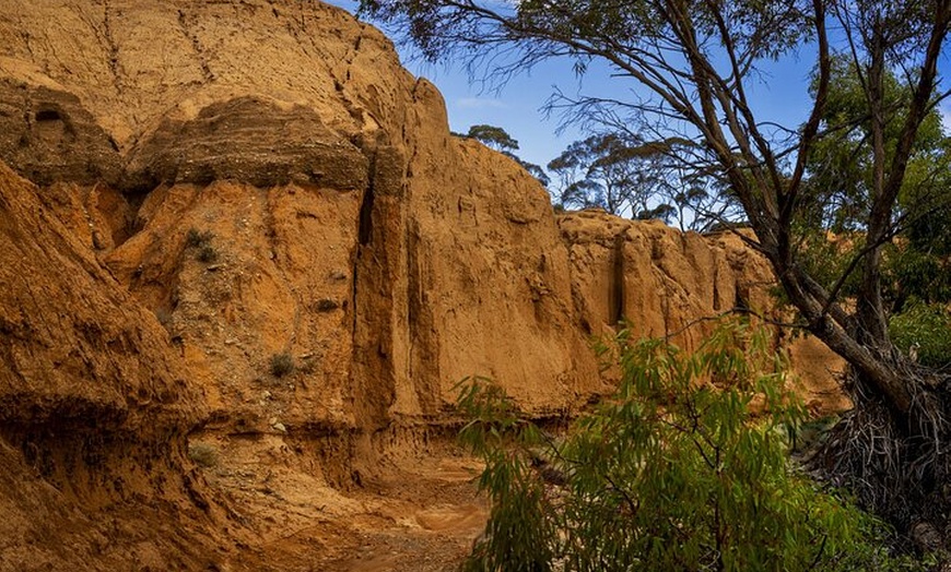 Image 6: Burra Township to Mount Bryan History and Landscape Day Tour