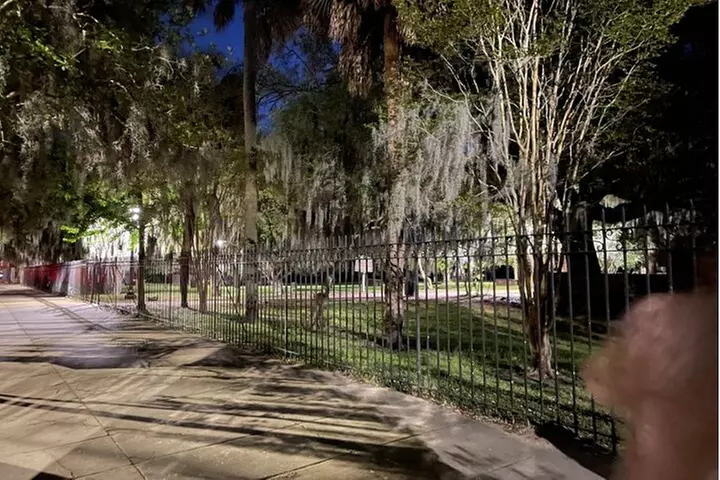 Savannah Midnight in the Garden Pub Crawl