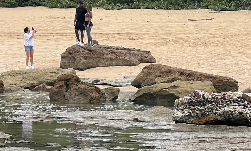 Image 32: Caves Coastlines and Beach; Cueva del Indio, Arecibo Adventure