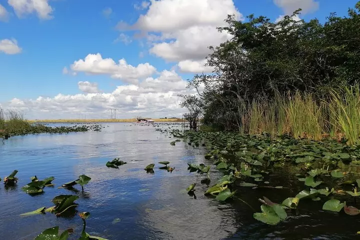 Miami and Everglades Adventure: Airboat & Bay Cruise Combo