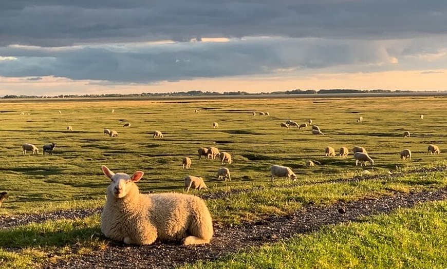 Image 5: Lancashire Love Artisans Food Tour with Guide