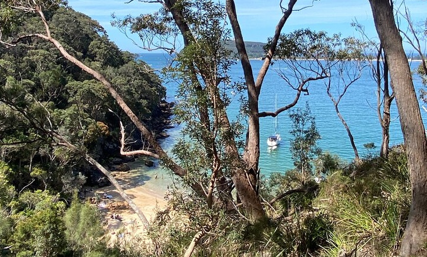 Image 12: Sydney: Ku-ring-gai Chase National Park with Hike, Swim, Picnic