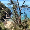 Image 12: Sydney: Ku-ring-gai Chase National Park with Hike, Swim, Picnic