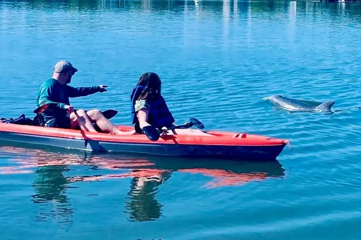 Dolphin and Manatee Kayak Tour of Daytona Beach