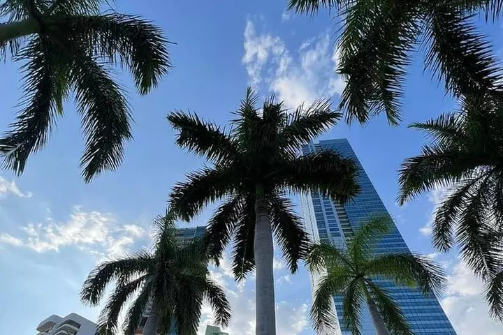 Miami Magic City: The Ultimate One-Day Insider Tour
