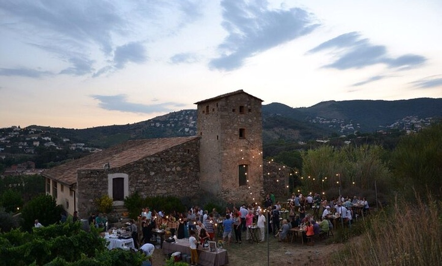 Image 5: Gaudí Unveiled & Premium Wine Escape - Tour Privado