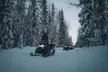 Forest Snowmobile Tour in Alaska - Second Medium