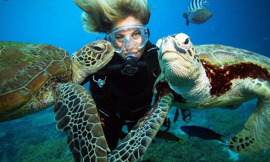 Image 14: Sunlover Reef Cruises Cairns Great Barrier Reef Experience