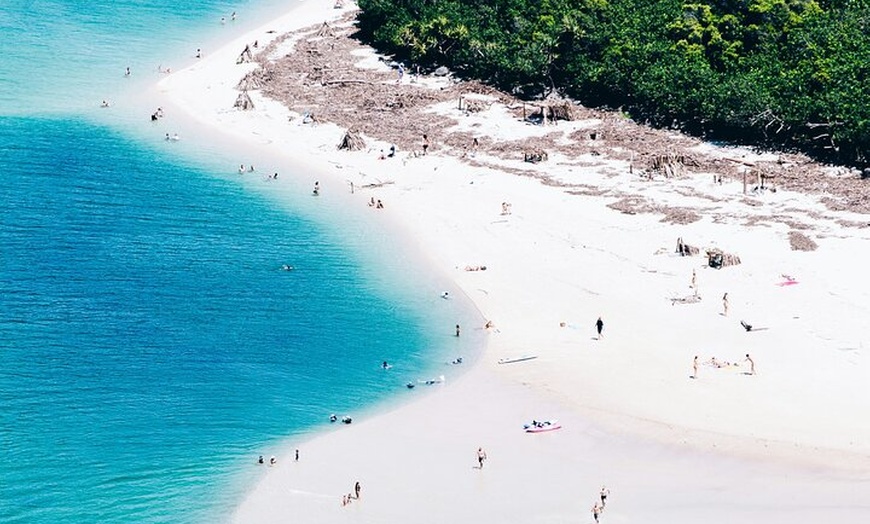 Image 3: All Abilities Adaptive Surf Lesson