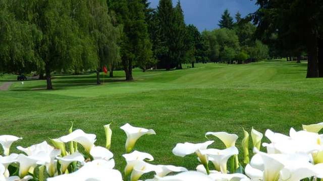 Online Booking - Round of Golf at Spring Hill Golf Club at Albany G...