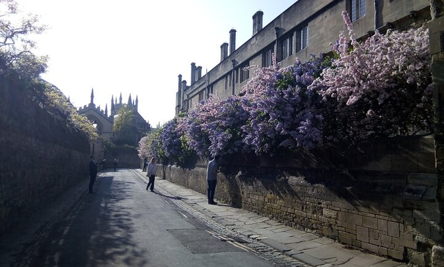 Image 3: Harry Potter PUBLIC tour with entry inside New College included
