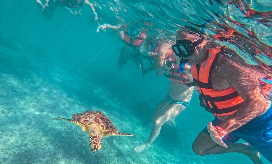 Image 17: Tulum Ruins, Sea Turtles & Cenote Swim Adventure Tour
