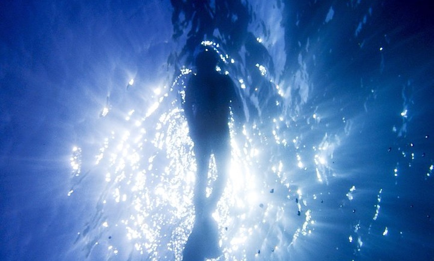 Image 4: Coral Sea Dreaming Overnight Dive, Snorkel and Sail
