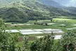 Kauai Island Private Guided Movie Tour from Lihue - Second Medium