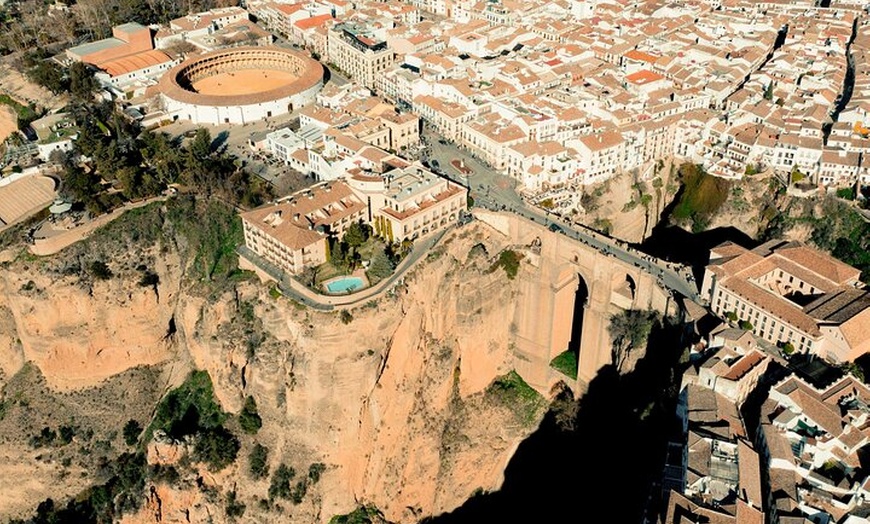 Image 11: Desde Málaga: Ronda, Cata de vinos y aceites de oliva Premium Grupo...