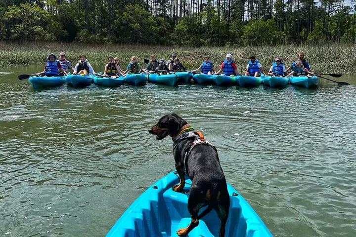 Hilton Head Guided Kayak Tour