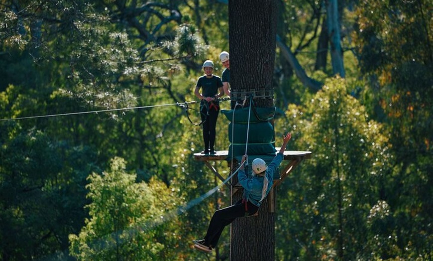 Image 3: Forest Adventures