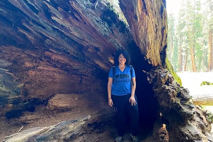 Semi Private Tour to Sequoia National Park with Lunch - Second Medium