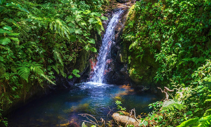 Image 15: ✈ COSTA RICA | San José - Il Costa Rica a basso costo 3*, 12 notti ...