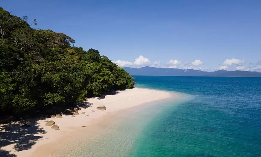 Image 13: Whale Watching Tour & Fitzroy Island From Cairns