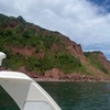 Image 25: Luxury Costal Rib Tour to Babbacombe Bay from Exmouth Marina