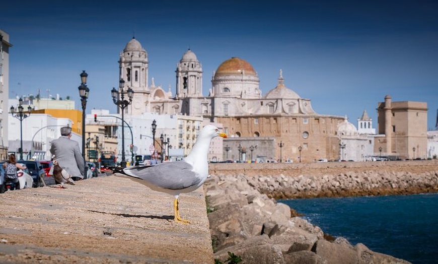 Image 5: Tour a Cádiz desde Sevilla